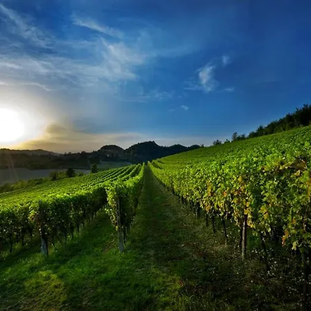 Cascina Olivetta -sleep In Winery * Moncalvo