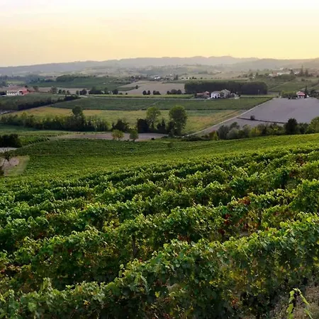 Cascina Olivetta -sleep In Winery Holiday home