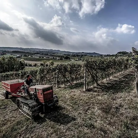 Cascina Olivetta -sleep In Winery Moncalvo