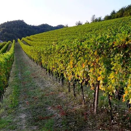 Holiday home Cascina Olivetta -sleep In Winery