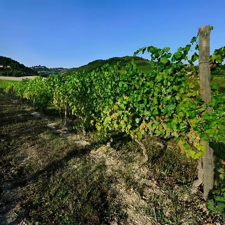 Cascina Olivetta -sleep In Winery Holiday home