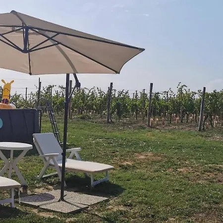 Cascina Olivetta -sleep In Winery Casa vacanze Moncalvo