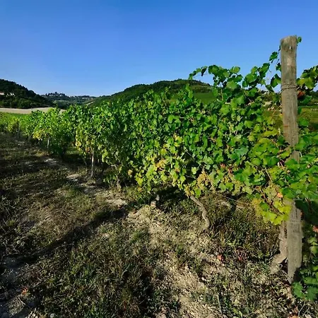Cascina Olivetta -sleep In Winery Moncalvo